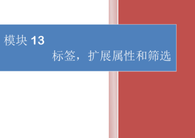 模块13-标签，扩展属性和筛选